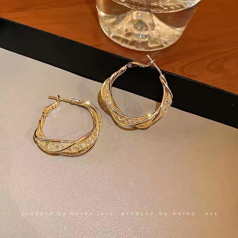 Mesh Crystal Sterling Silver Earrings – Geometric Ring Style for Women (Japan & South Korea Inspired)